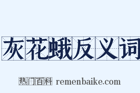 灰花蛾反义词是什么意思的图片